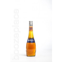 boozeplace Bols Apricot brandy 28°
