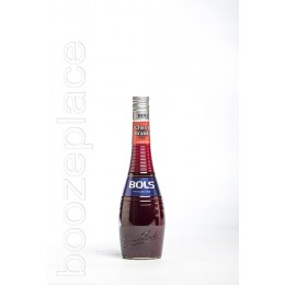 boozeplace Bols Cherry Brandy 24°