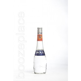 boozeplace Bols Triple Sec