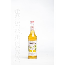 boozeplace Monin Orange Spritz