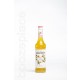 boozeplace Monin Passionfruit