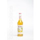 boozeplace Monin Orange Spritz